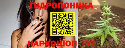 гашиш Шебекино