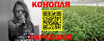 прущие грибы Шелехов