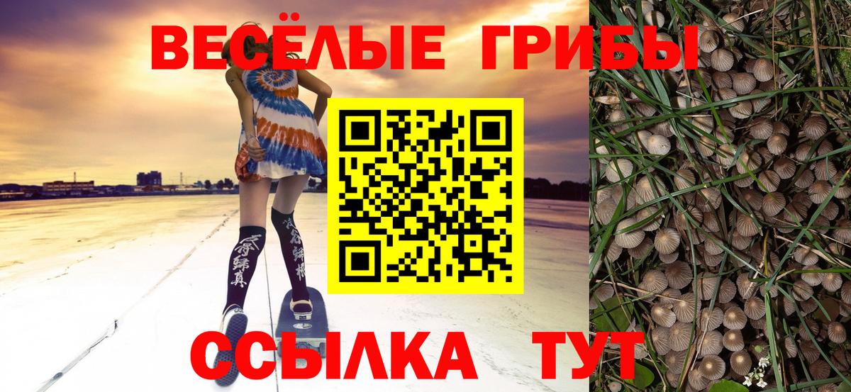 Псилоцибиновые грибы Psilocybine cubensis Белореченск