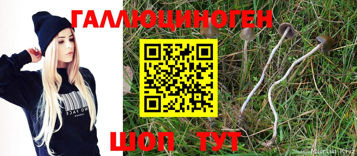 Галлюциногенные грибы Psilocybe  Галлюциногенные грибы Cubensis  Вход с VPN  Белореченск 